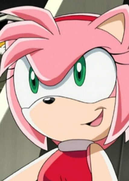 Amy Rose (Sonic X) photo
