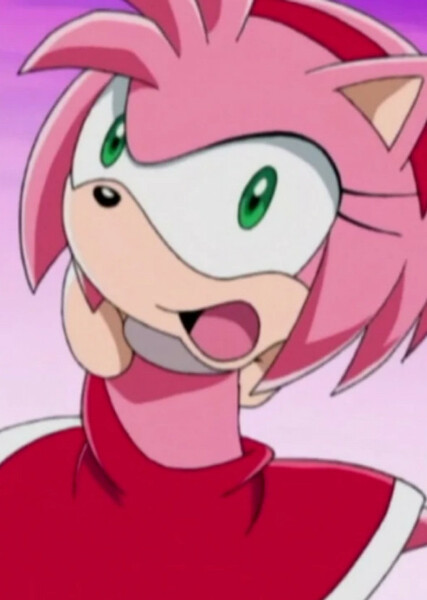 Amy Rose (Sonic X) photo