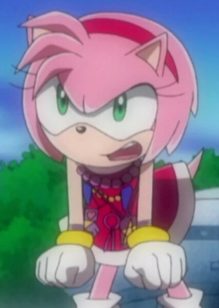 Amy Rose (Sonic X) photo