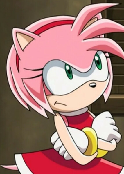 Amy Rose (Sonic X) photo