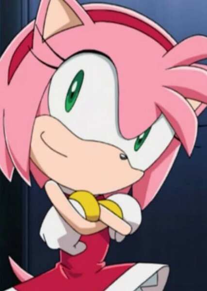 Amy Rose (Sonic X) photo