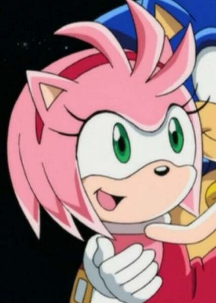 Amy Rose (Sonic X) photo