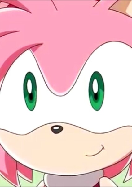 Amy Rose (Sonic X) photo
