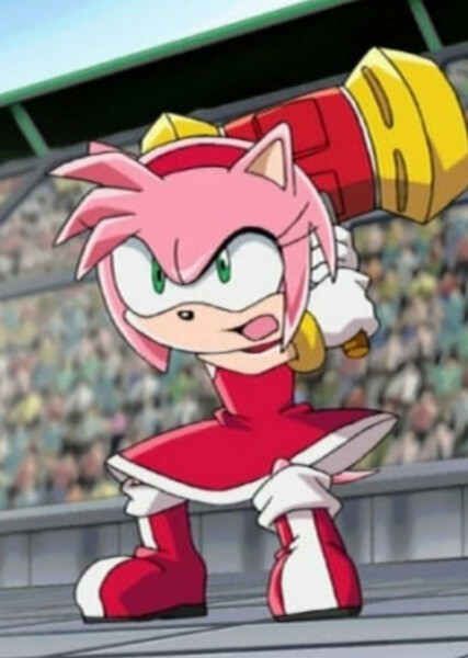 Amy Rose (Sonic X) photo