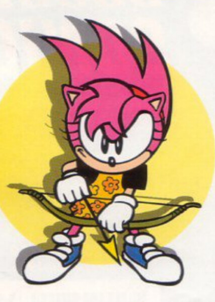 Amy Rose (StC) photo