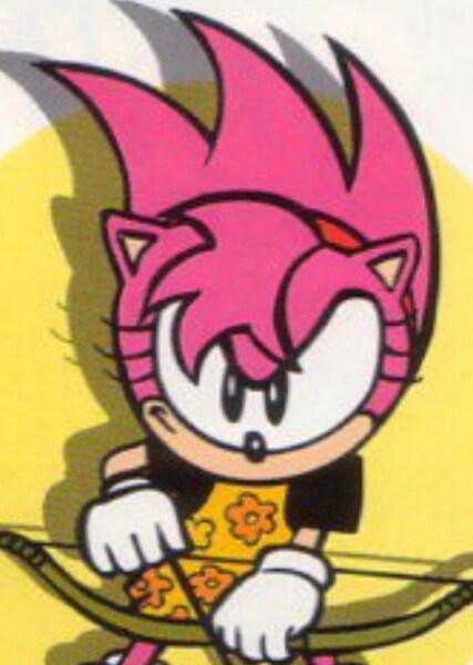 Amy Rose (StC) photo