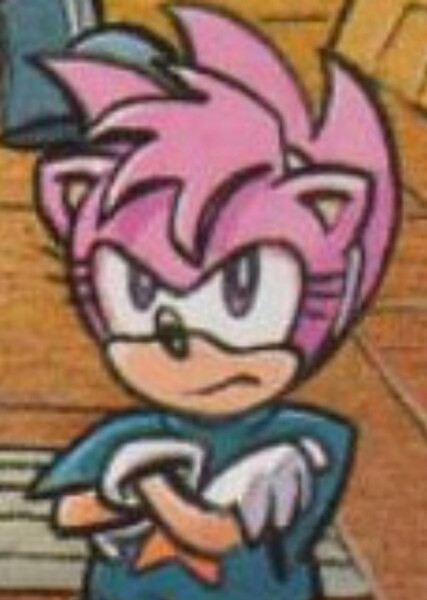 Amy Rose (StC) photo