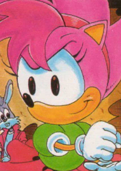 Amy Rose (StC) photo