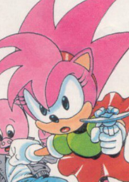 Amy Rose (StC) photo