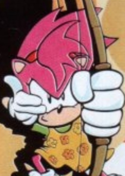 Amy Rose (StC) photo