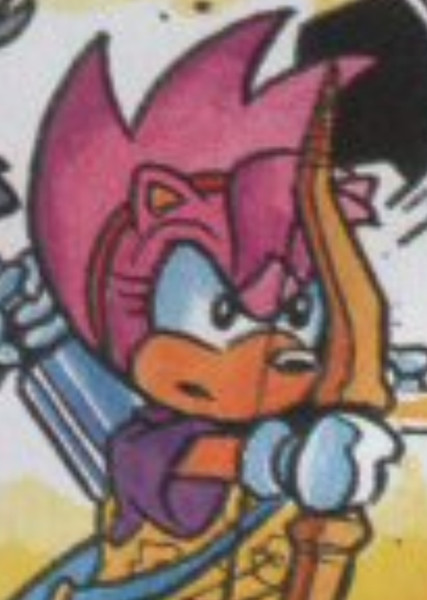 Amy Rose (StC) photo