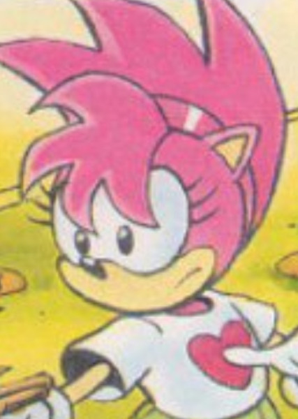 Amy Rose (StC) photo