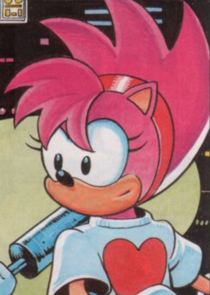 Amy Rose (StC) photo