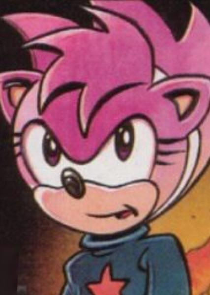 Amy Rose (StC) photo