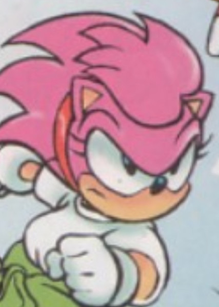 Amy Rose (StC) photo