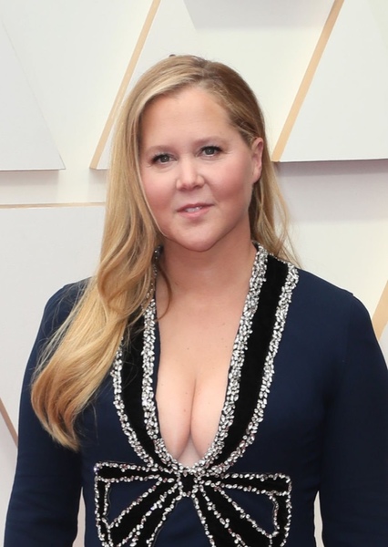 Amy Schumer photo