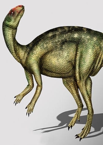 Anabisetia