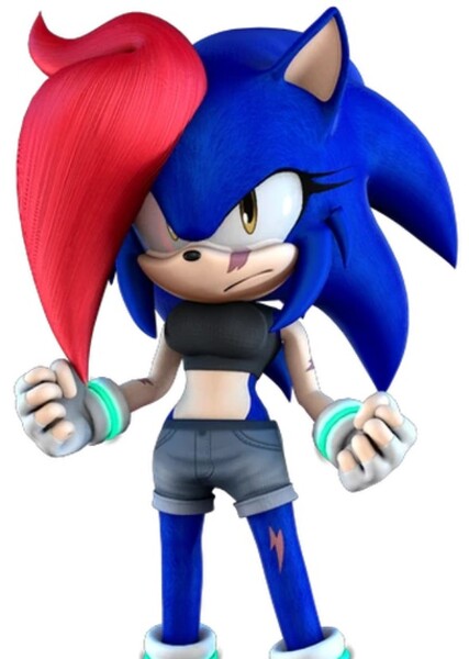 Anastasia The Hedgehog