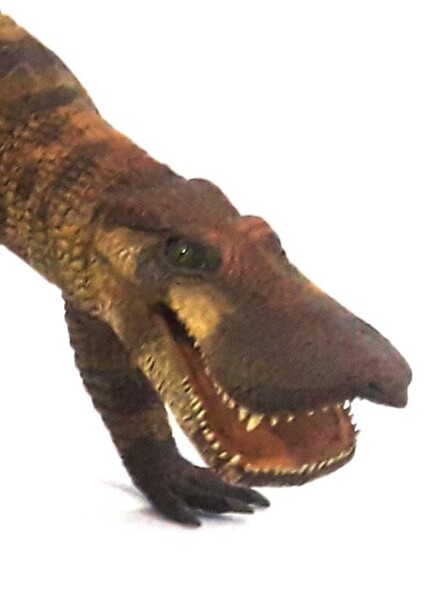 Anatosuchus