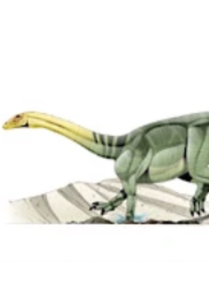 Anchisaurus