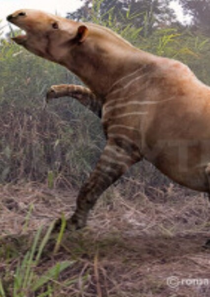 Ancylotherium