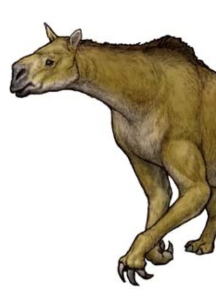 Ancylotherium photo