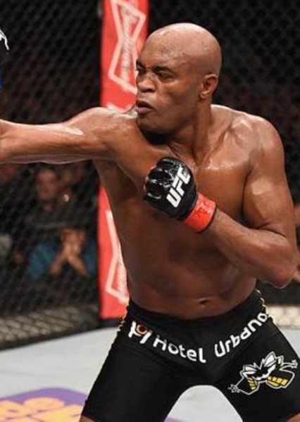 Anderson Silva photo