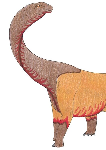 Andesaurus photo