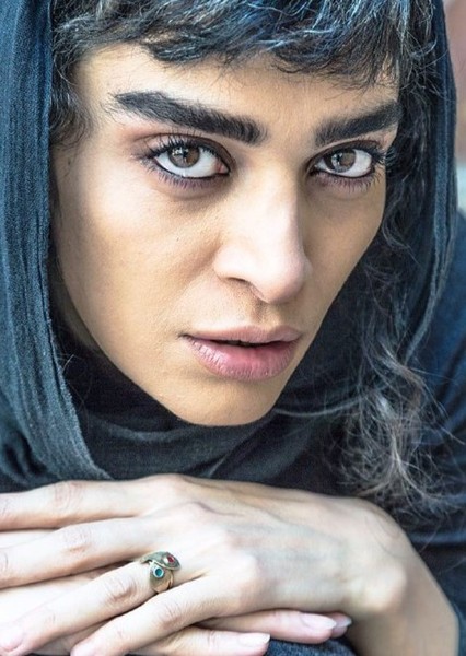 Andisheh Fouladvand photo