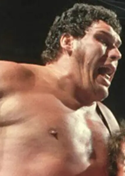 André Roussimoff photo