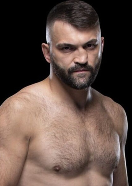 Andrei Arlovski photo