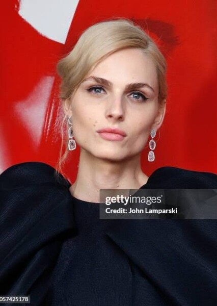 Andreja Pejić photo
