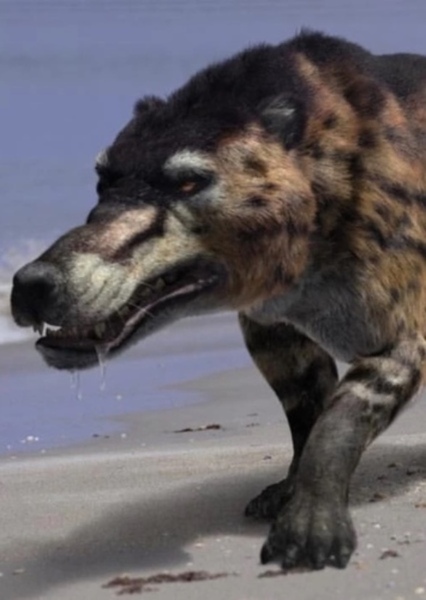 Andrewsarchus