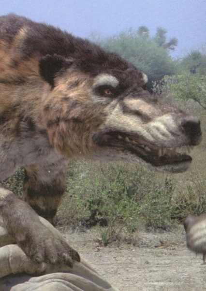 Andrewsarchus photo