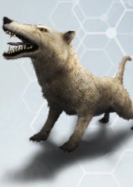 Andrewsarchus photo