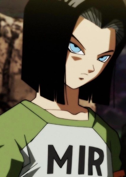 Android 17 photo