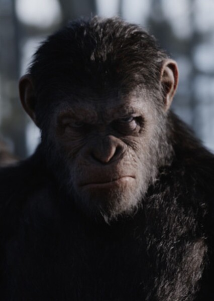 Andy Serkis photo