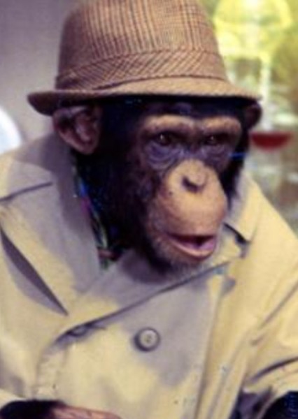 Andy Serkis photo
