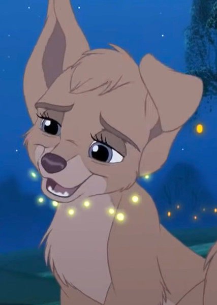 Angel (Lady and the Tramp) photo
