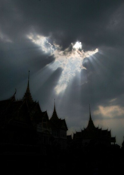 Angels photo