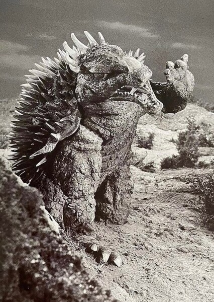 Anguirus (Angirasu) photo