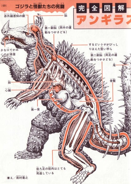 Anguirus (Angirasu) photo