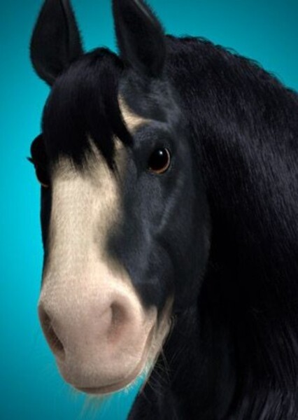 Angus