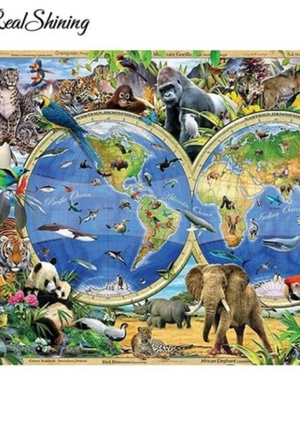 Animal (PBS Nature Series)