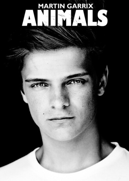 Animals (Martin Garrix)