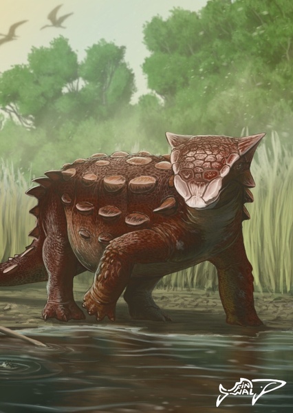 Ankylosaurus photo