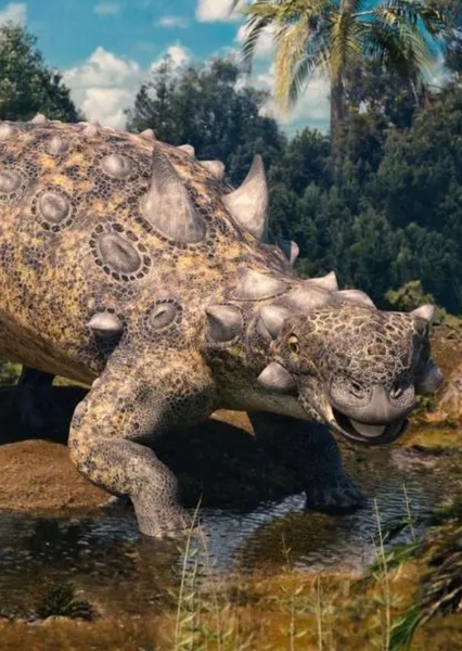 Ankylosaurus photo