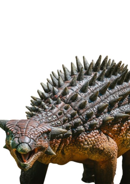 Ankylosaurus photo
