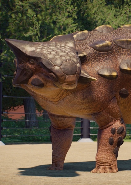 Ankylosaurus photo
