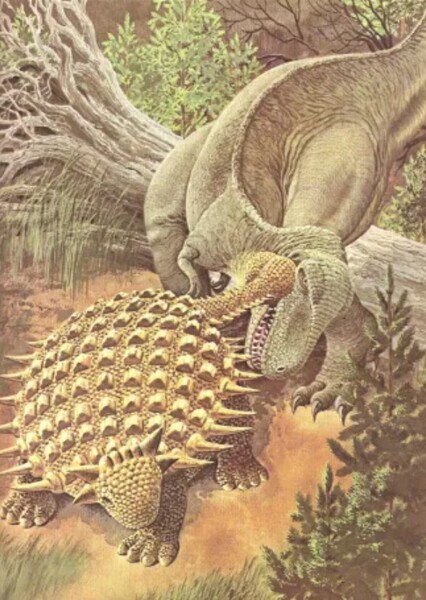 Ankylosaurus